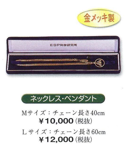 ESP科学研究所 手帳 FiQgHEqzoa - godawaripowerispat.com