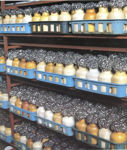 代表者ごあいさつ - 有限会社イー・エス・ピー米子（ESP器具各種取扱）